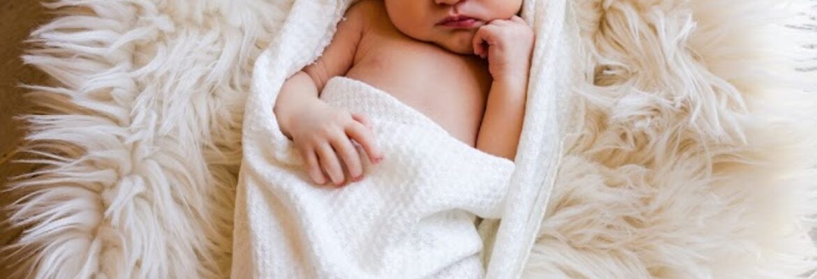 Cassi Krieger Photography