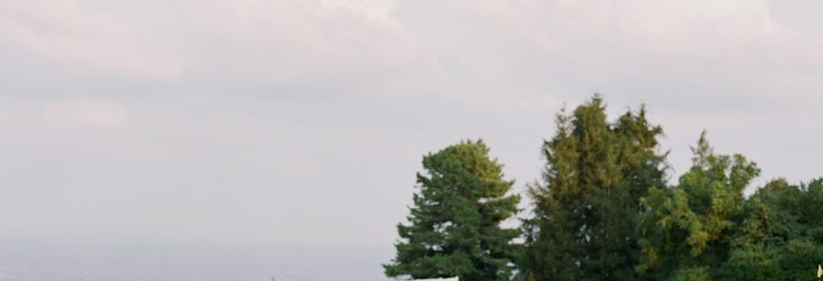 Kimberly F. Denn Photo