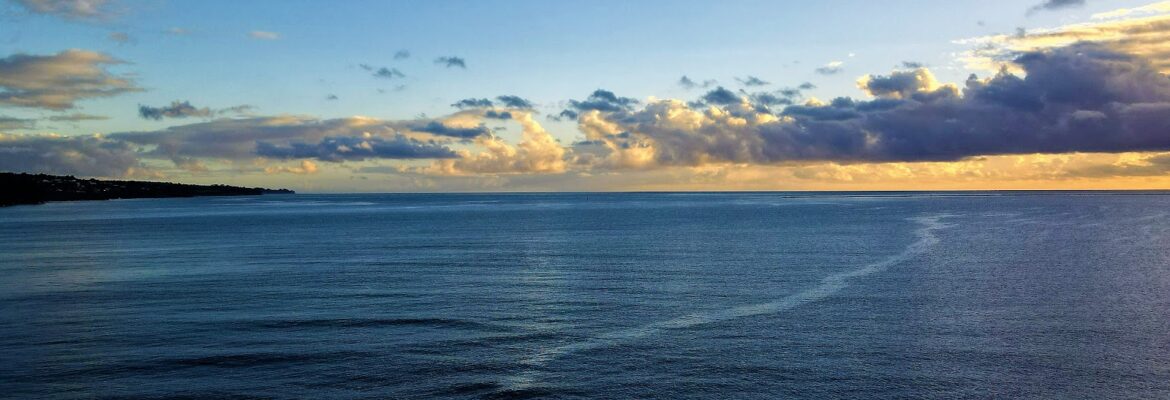 Hawaii Aerial Productions