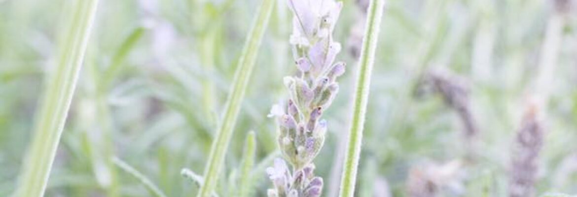 Meg Hunter Photography