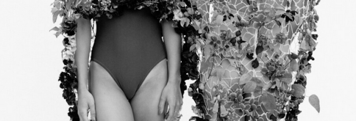 Theresa Bear Photography