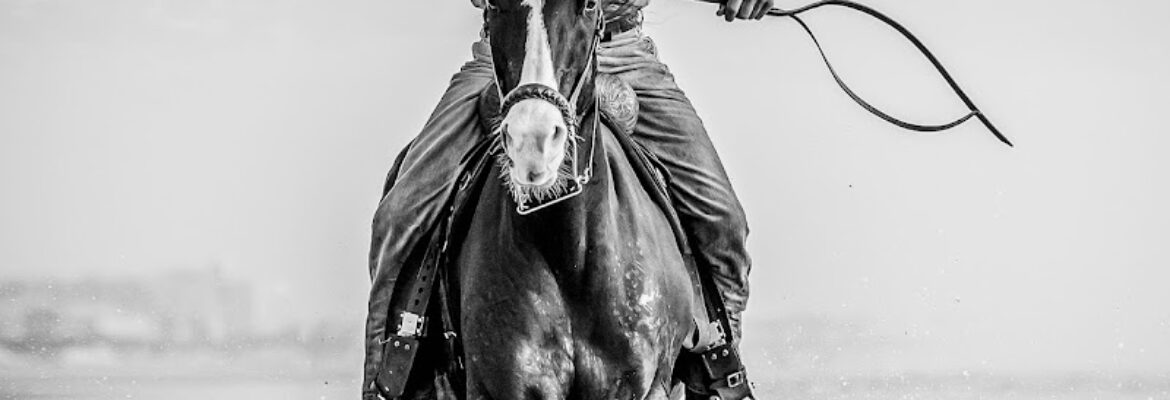 Fast Horse Photography