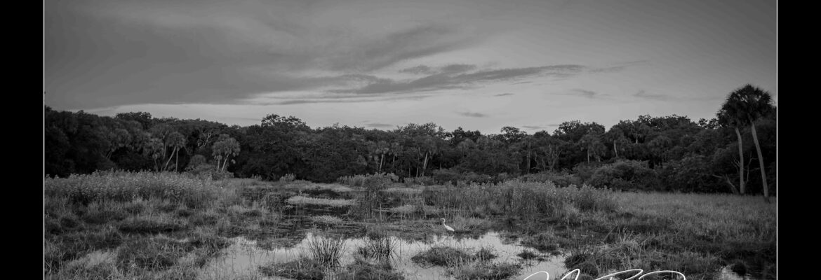 Mike Fults Photography