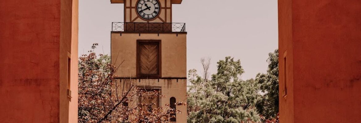 Black Lili Photography