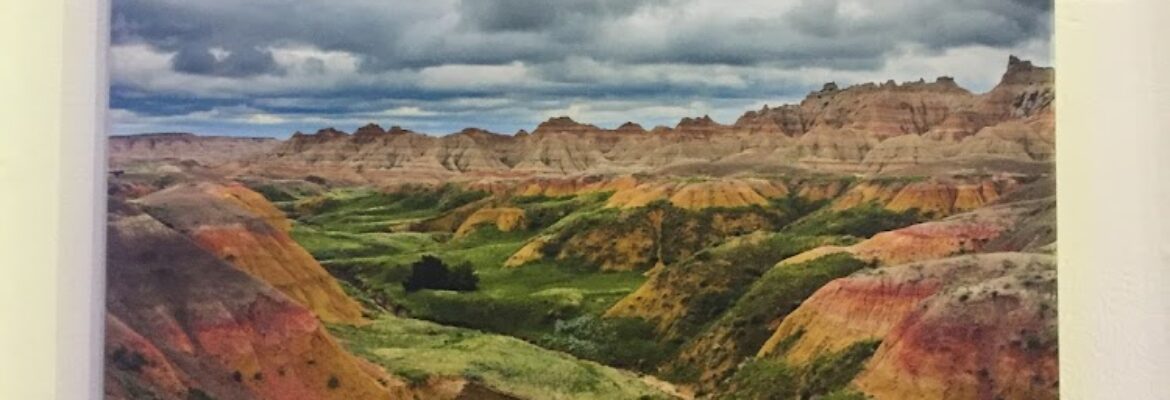 Sarah Dove Photography