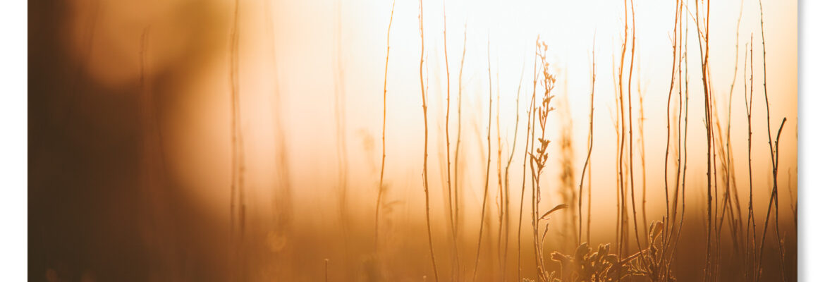 Andy Bardon Creative