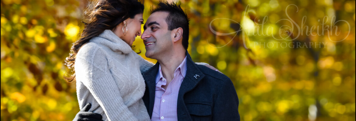 Anila Sheikh Photography LLC