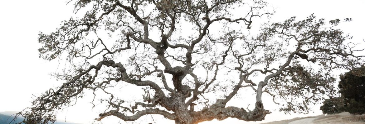 Jaimi Lynn Photography