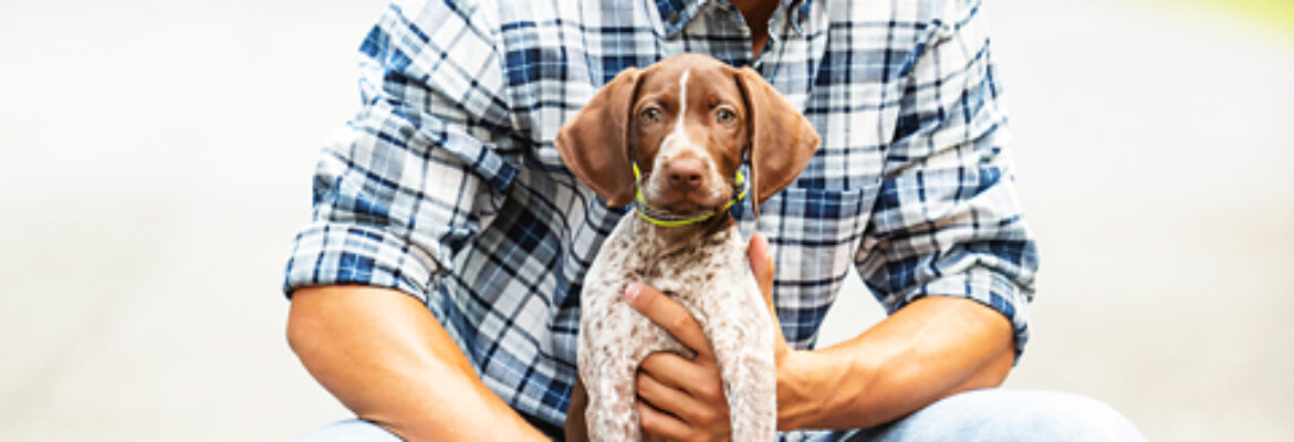 Captured Memories by Esta