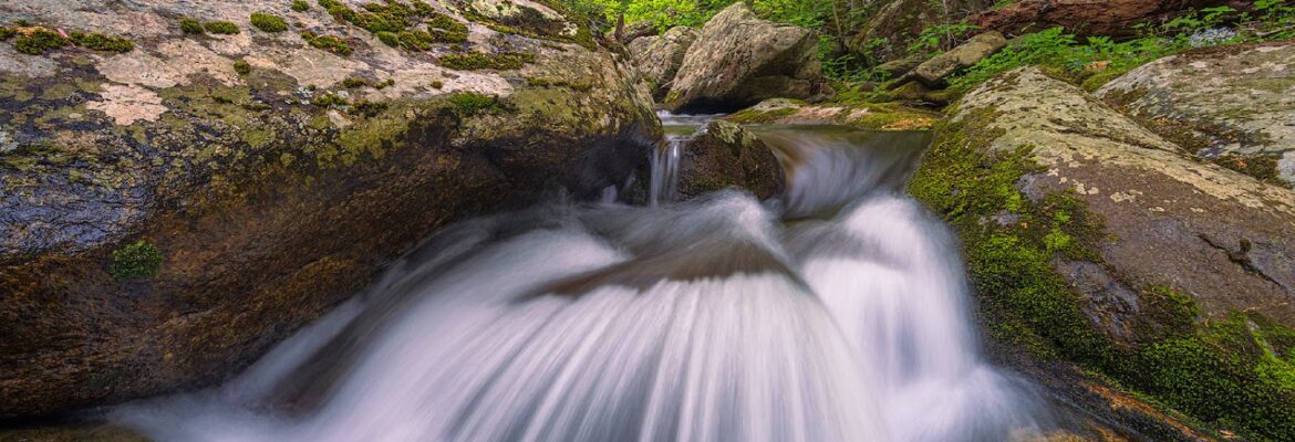 Joseph Rossbach Photography