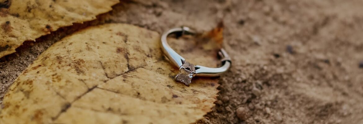 Shianne Hall Photography (Danville Virginia)