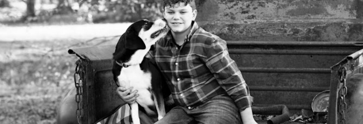 Lily Kay Photography LLC