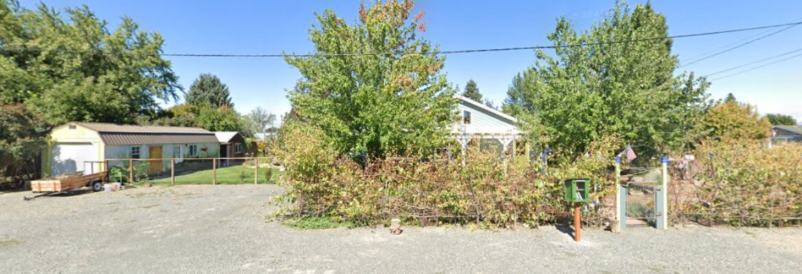 Joyclynn Potter Photography