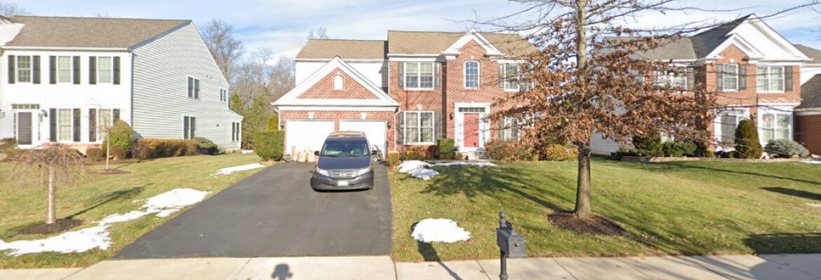 Gallery D Photography