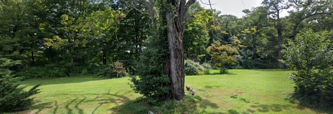 Pete’s Precision Photo