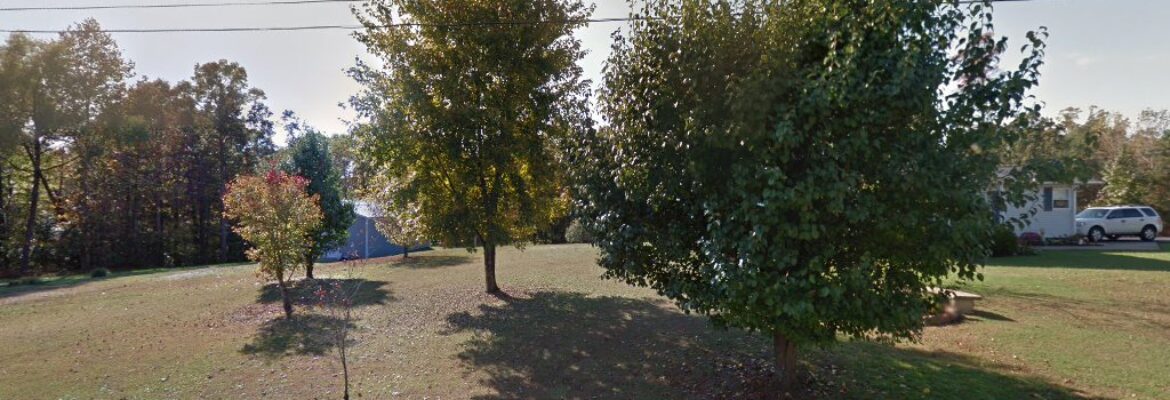 Chrissy Perkins Photograph