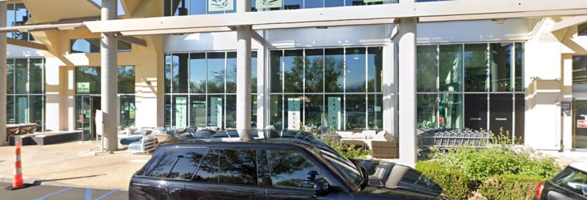 Angelina Rose Photography