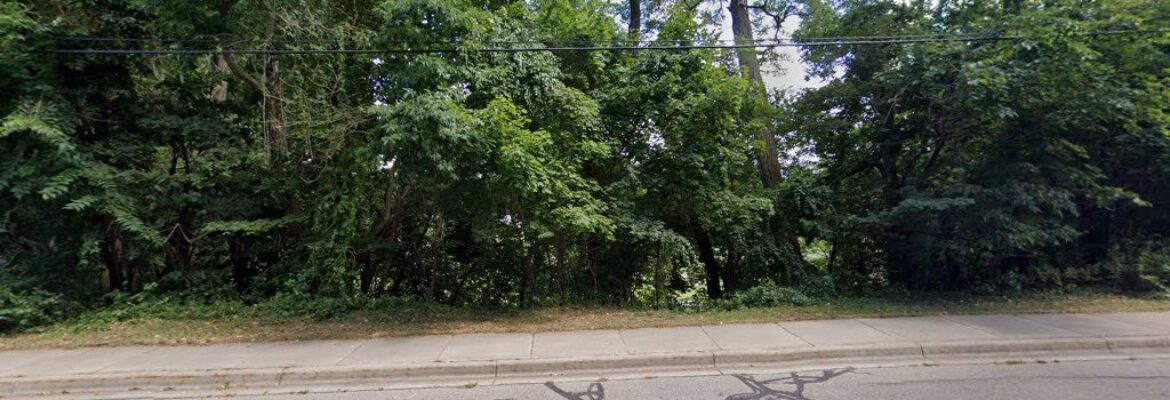 Nicolina Holt Photography