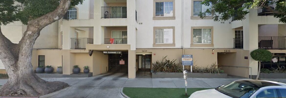 Ashleigh Cahn Photography