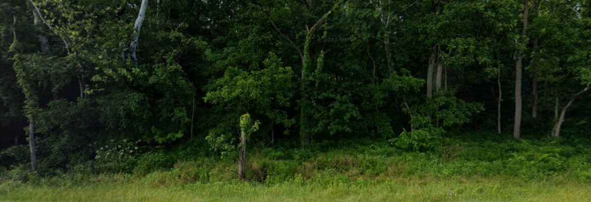 Leonard Hill Photography