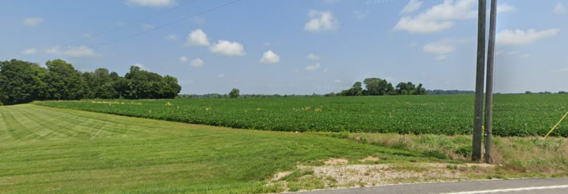 Bridgette Blair Photography