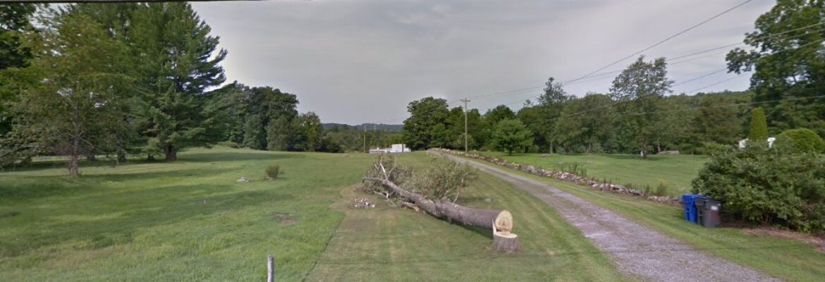 Judith Secco Photography