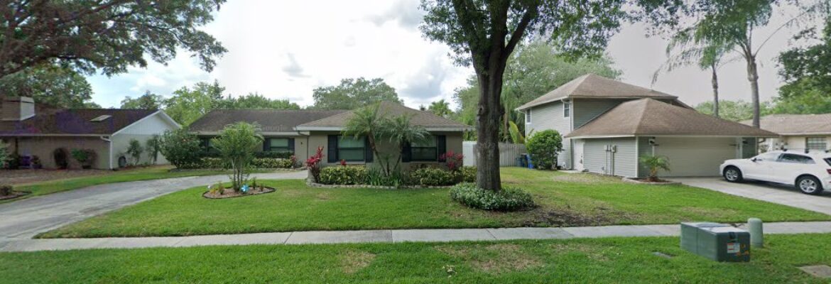 Eagle Eye Photography