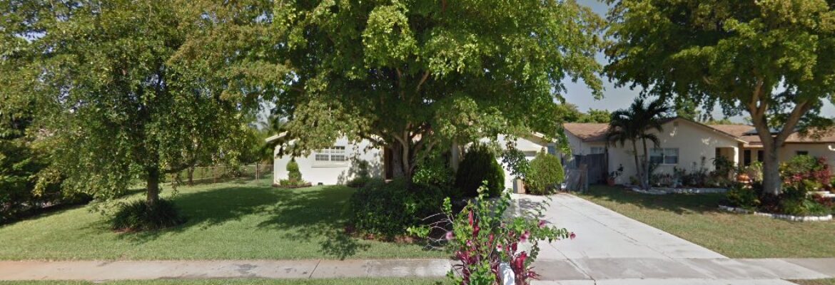 Angela Adel Photography