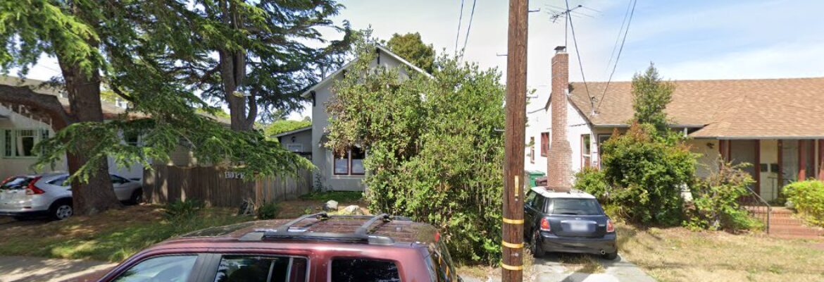 Jenny Sampson Photography