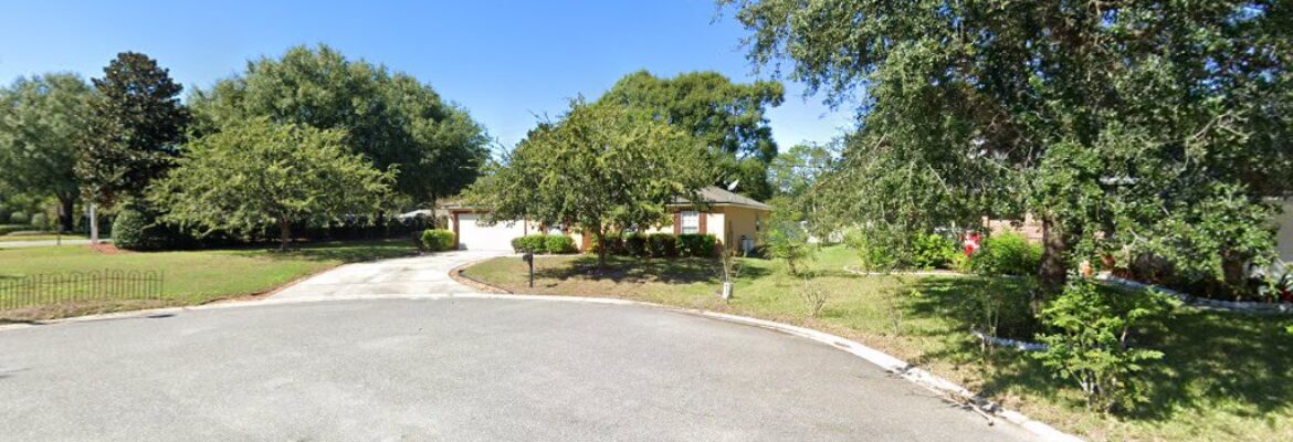 Photography By Daid Wright