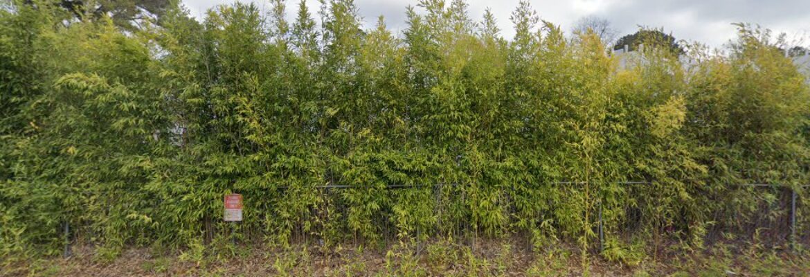 Divine Creations By Charmaine Photography