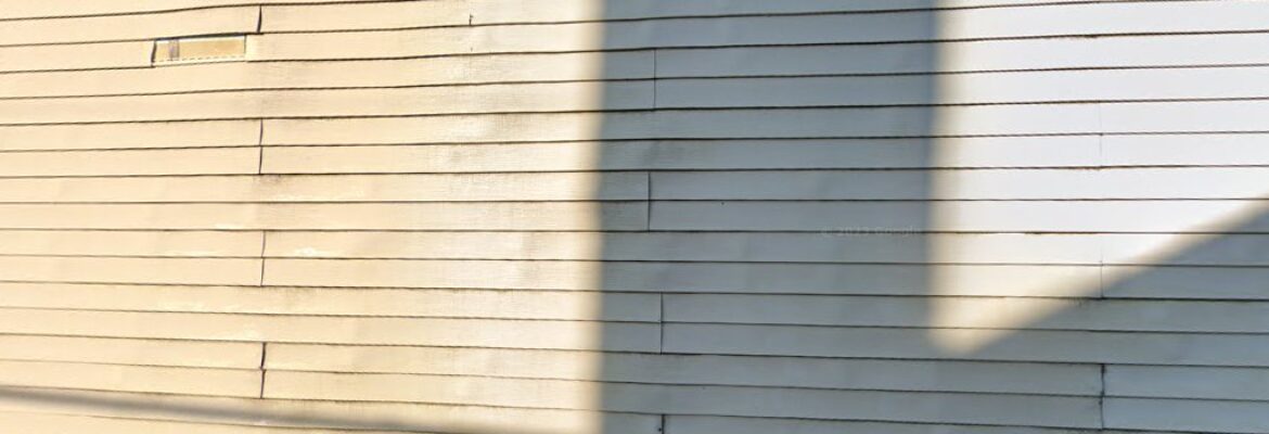 Danielle Stingu Photography