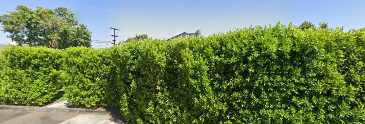 CBeckett Photography