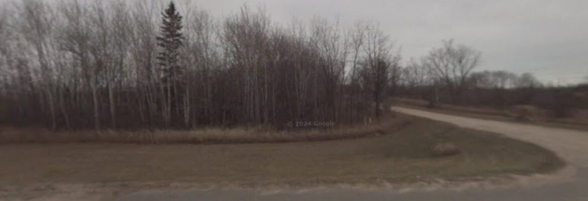 Megan Warmbold Photographer