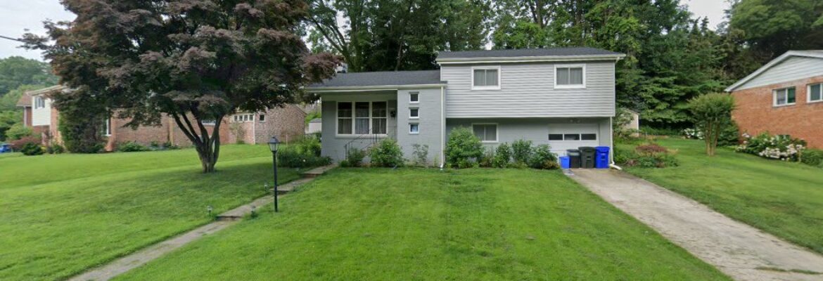 Pet and People Portraits