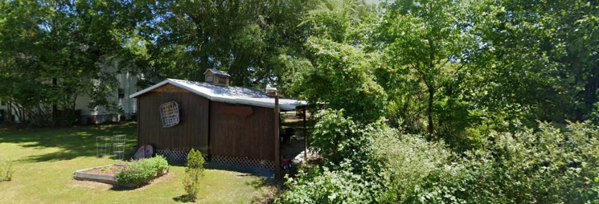 Huneycutt Photography