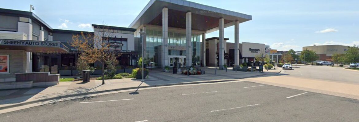 jan michele photography