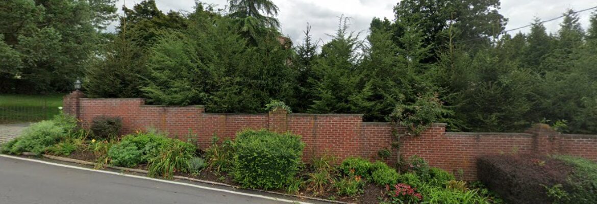 darcie goldberg : photographer