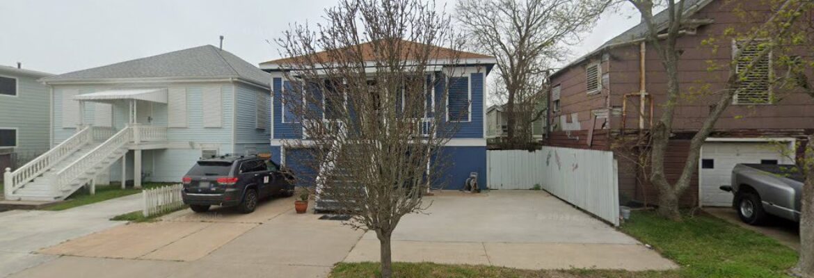 Wild Crane Photography