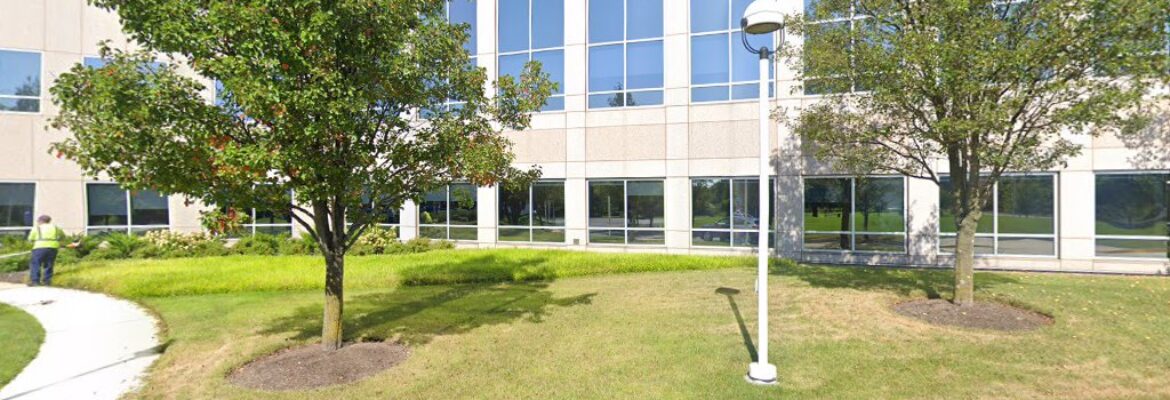 Celladora Wedding Photography