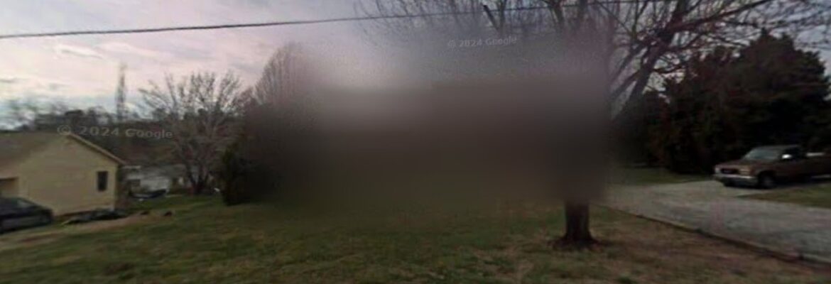 Rustic Fox Photography