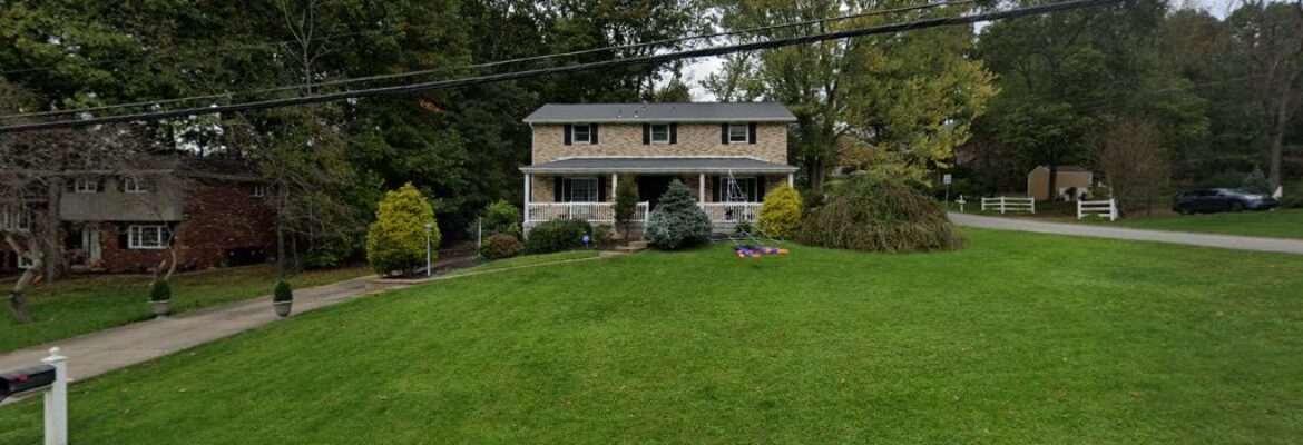 Danijela Photography