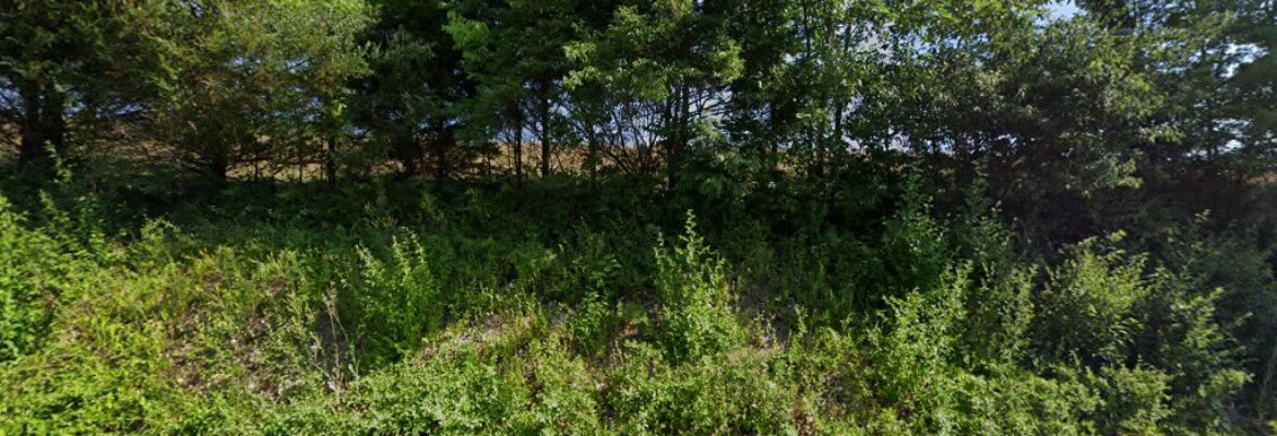 Carried Through Time Photography