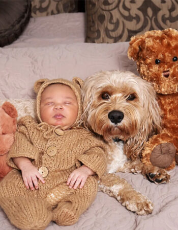 D’anina Photography