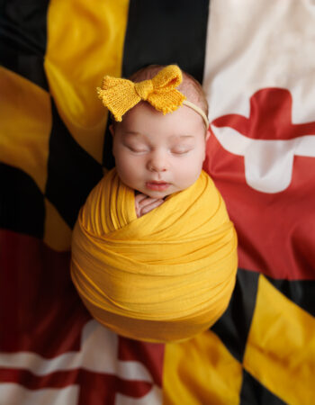 Elisheva Kutner Photography