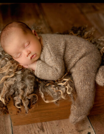 Greenwood Photography