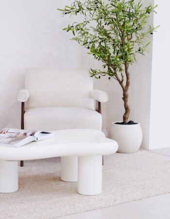 Creative Canvas Photo Studios Miami